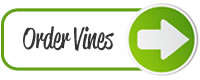 order vines